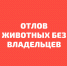 График планового отлова животных без владельцев - Ровенский район